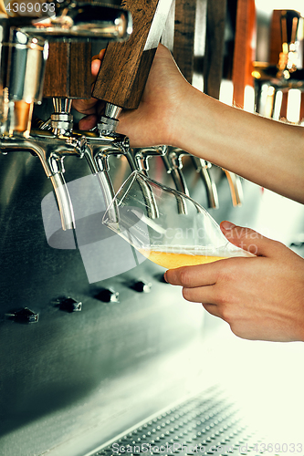 Image of Hand of bartender pouring a large lager beer in tap.