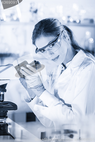 Image of Female health care researchers working in scientific laboratory.