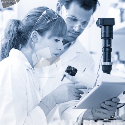 Image of Health care researchers working in scientific laboratory.