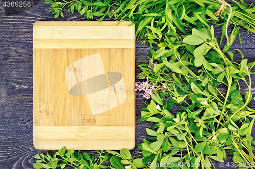 Image of Frame of spicy grass and rectangular board