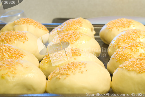 Image of Fresh Buns with Sesame Seeds