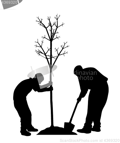 Image of Planting a tree
