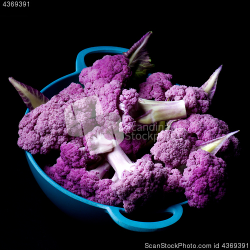 Image of Fresh Purple Cauliflower