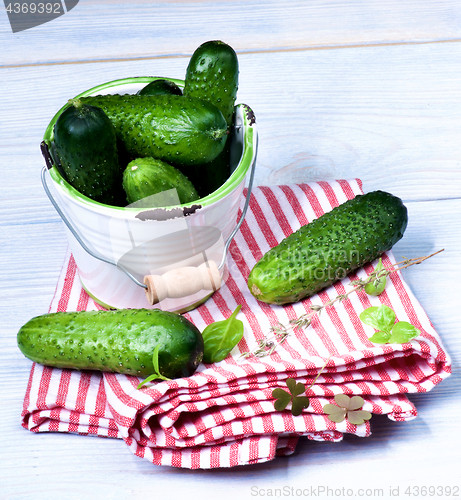 Image of Fresh Raw Cucumbers