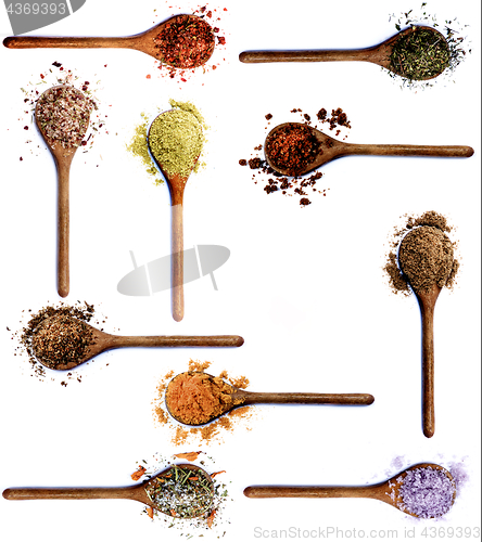 Image of Collection of Spices 