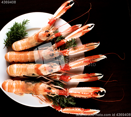 Image of Delicious Raw Langoustines