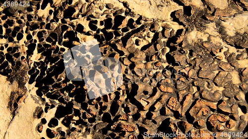 Image of Desert Earth with Stones