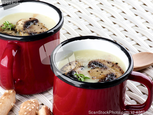 Image of Mushrooms Cream Soup