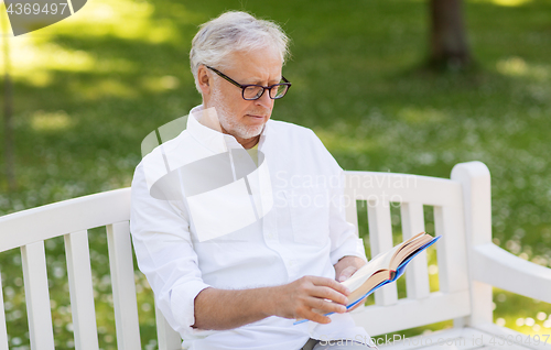 Image of senior man reading book at summer park