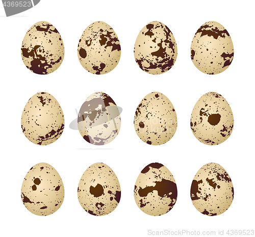 Image of Quail eggs on a white background