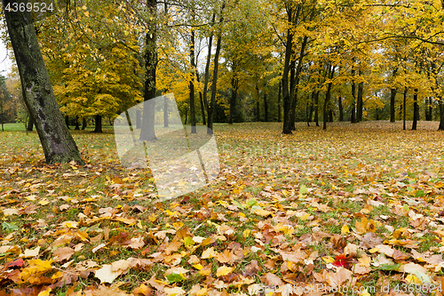 Image of Maple Park in autumn