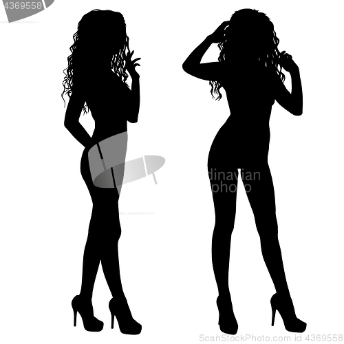 Image of Beautiful fashion girl silhouette on a white background