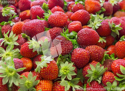 Image of Background of beautiful and juicy strawberries with green leaves