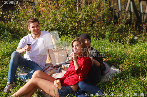 Image of Friends drinking wine