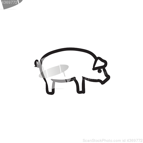 Image of Pig sketch icon.