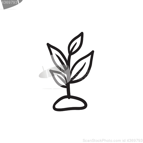 Image of Sprout sketch icon.