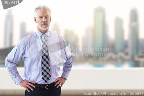 Image of Senior businessman in front of the big city