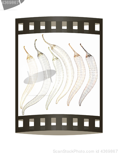 Image of chili pepper. 3d illustration. The film strip.