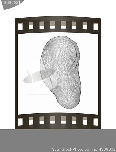 Image of Ear digital model. 3d illustration. The film strip.