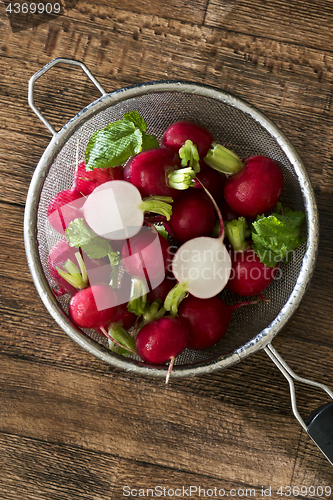 Image of Several red radishes in a sieve