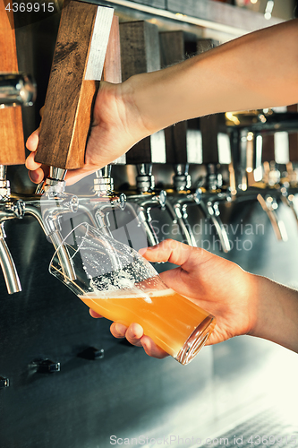 Image of Hand of bartender pouring a large lager beer in tap.