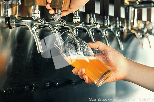 Image of Hand of bartender pouring a large lager beer in tap.