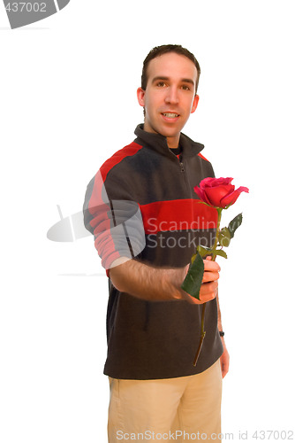 Image of Male Holding A Rose