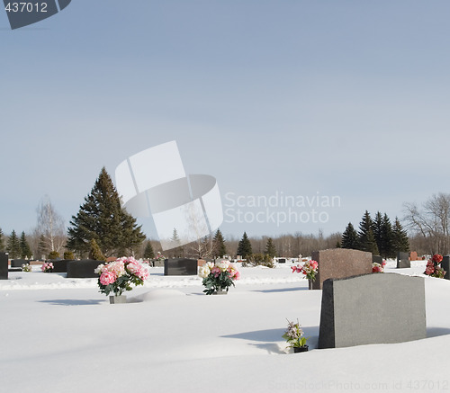 Image of Winter Graveyard