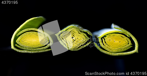 Image of Cross-section of leek stem and leaves.