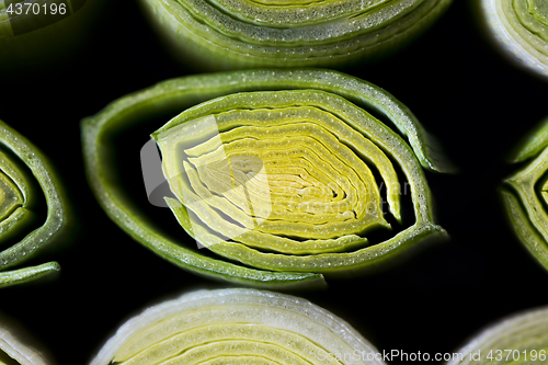 Image of Cross-section of leek stem and leaves.