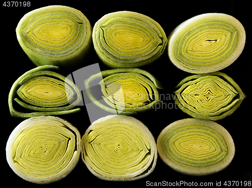 Image of Cross-section of leek stem and leaves.