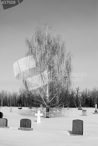 Image of Cemetery