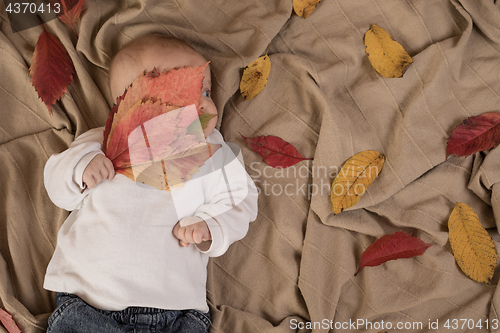 Image of Portrait of baby boy.