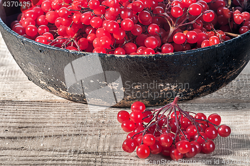 Image of Closeup viburnum in cast iron frying pan