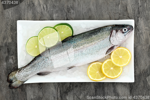 Image of Rainbow Trout Health Food