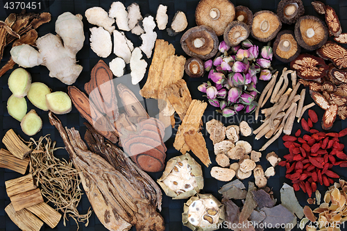 Image of Traditional Chinese Herbs