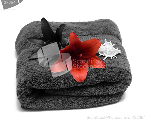 Image of Bath Towel