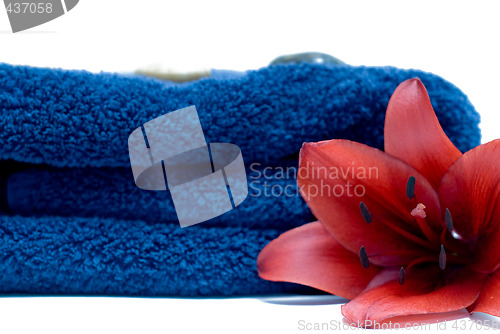 Image of Spa Towel