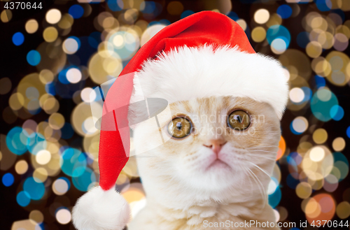 Image of little cat in santa hat over christmas lights