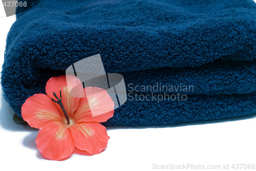 Image of Spa Towel