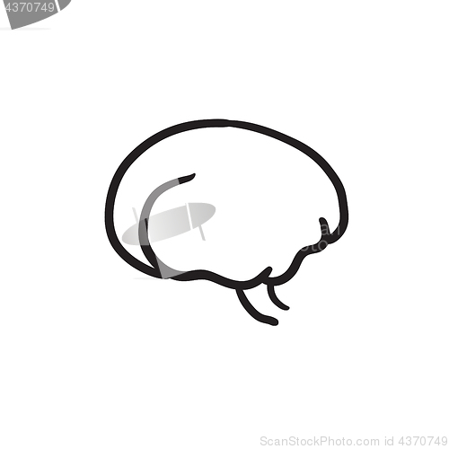 Image of Brain sketch icon.