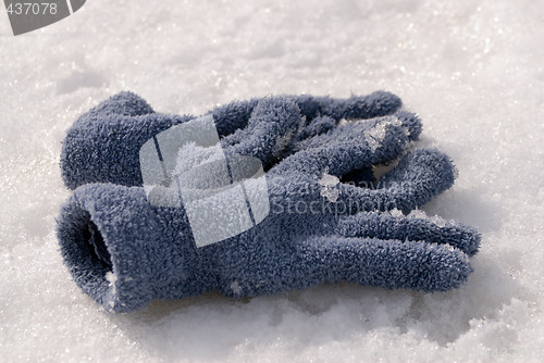 Image of Winter Gloves