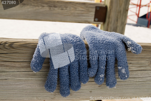 Image of Gloves Hanging To Dry