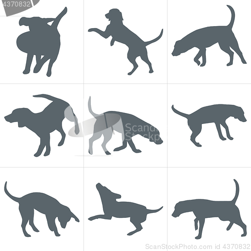 Image of Vector dogs silhouettes