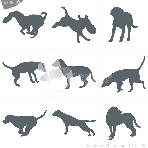 Image of Vector dogs silhouettes