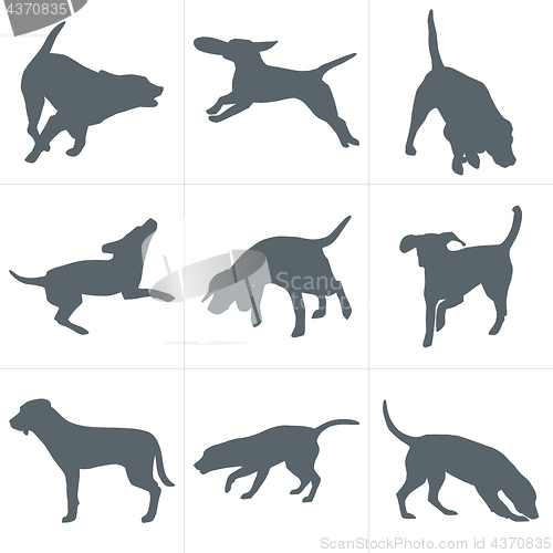 Image of Vector dogs silhouettes