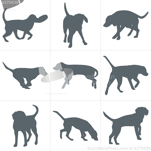 Image of Vector dogs silhouettes