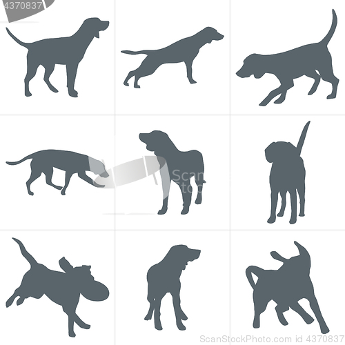 Image of Vector dogs silhouettes