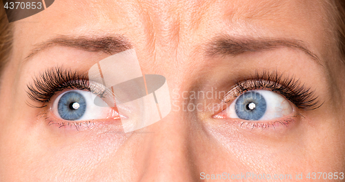 Image of Face woman with eyes and eyelashes