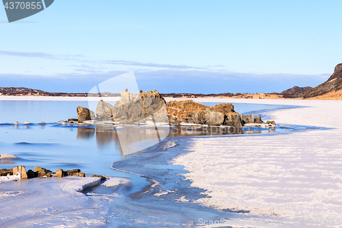 Image of eagles on the rocks